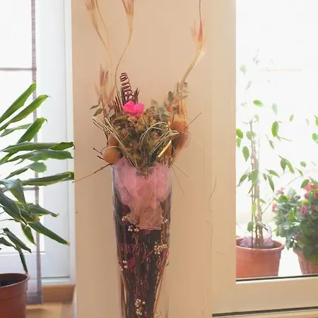 Base Bridge - Centre - Free Parking 公寓 扎达尔