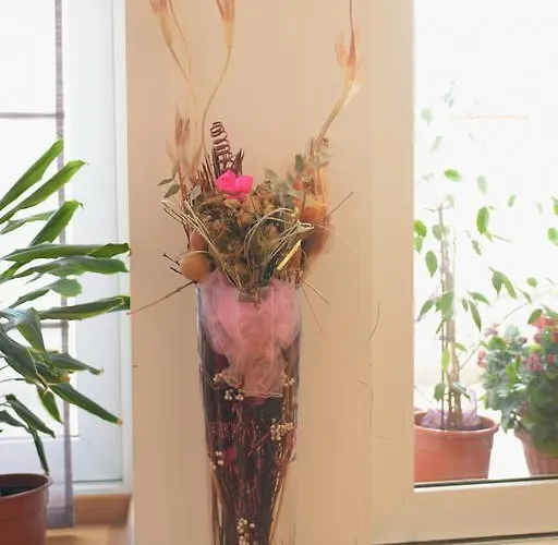 Base Bridge Apartman Zadar